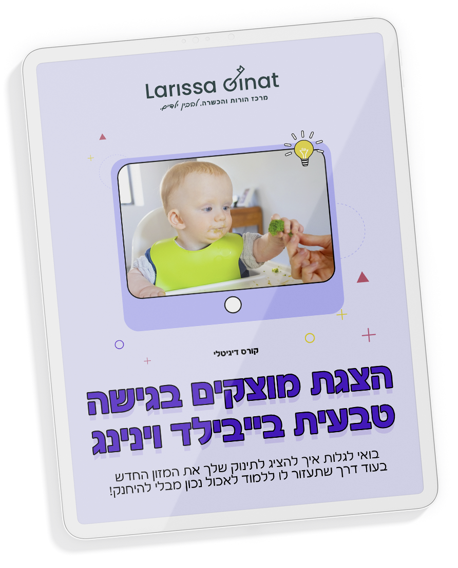 הצגת מוצקים